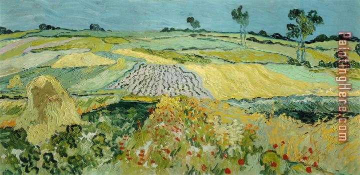 Vincent van Gogh Wheatfields Near Auvers sur oise